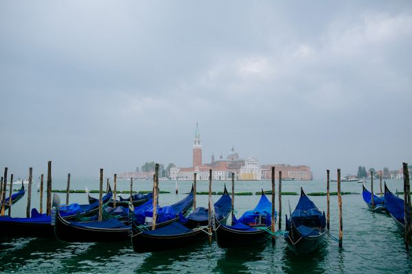venetia-2014-011703E72CB6-D0D5-2F3F-07E8-650224C64F09.jpg
