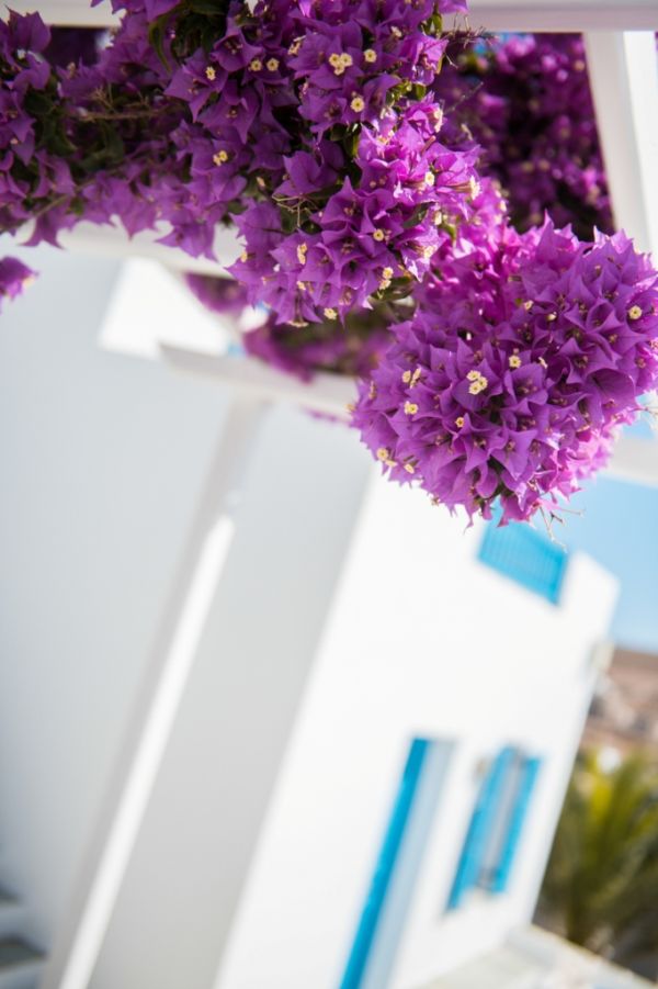 wedding in greece