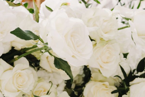 la-wedding-2023-20C85F6453-512A-B622-8E6D-1102FB241A9C.jpg