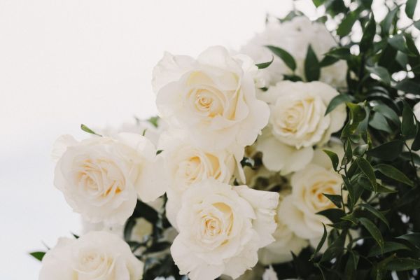 la-wedding-2023-25D811BC90-5472-9715-D74C-77160FE41048.jpg
