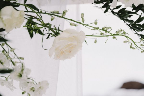 la-wedding-2023-260AE2CF9E-F74A-EB18-86E1-0EFA7B8FA792.jpg